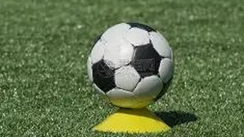 开云体育app投注 资讯 103004 gik