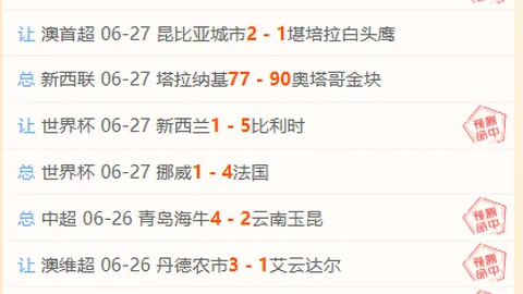 开云体育投注 135301 2